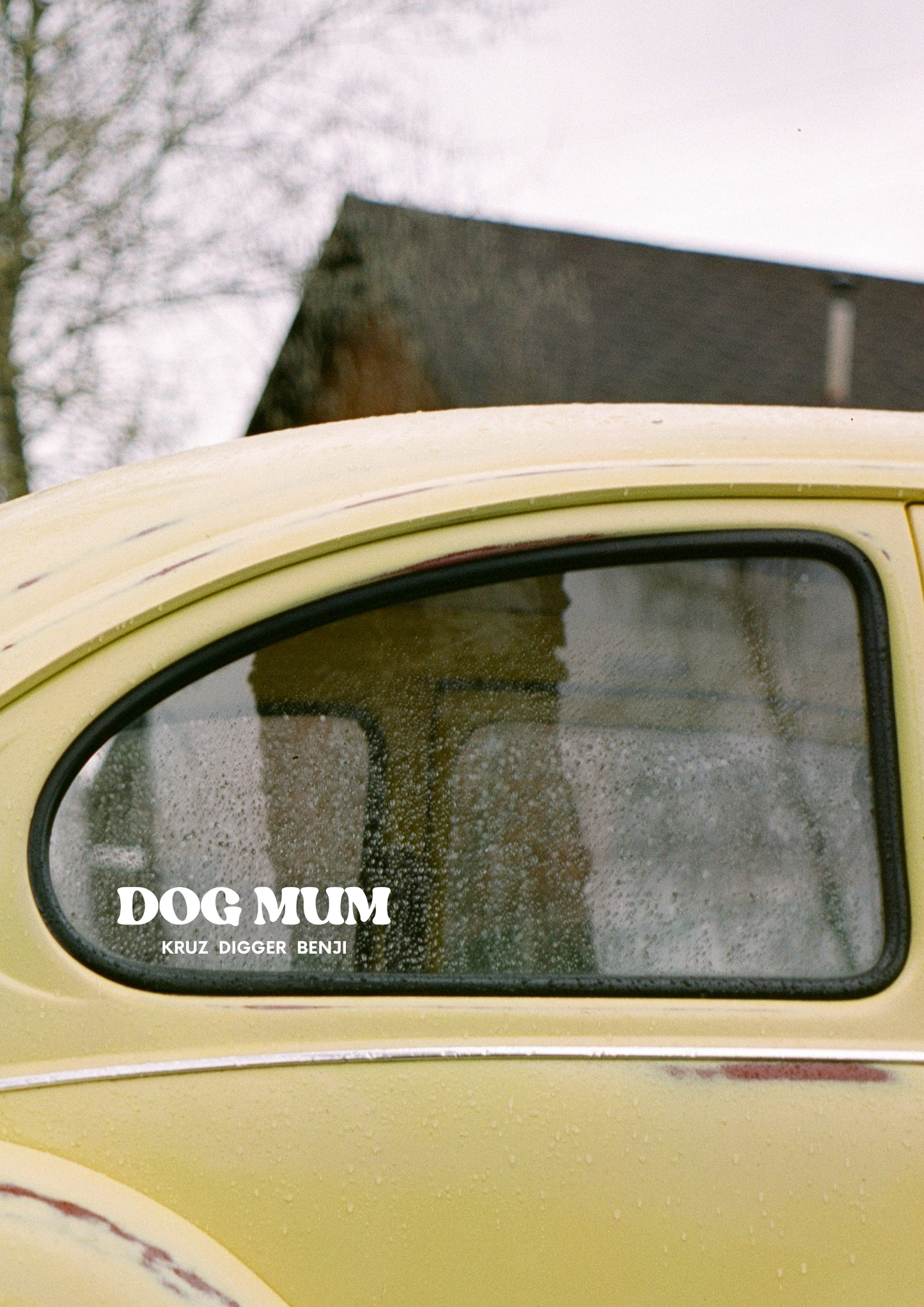 dog quote decal dog wall decal dog mum quote customisable