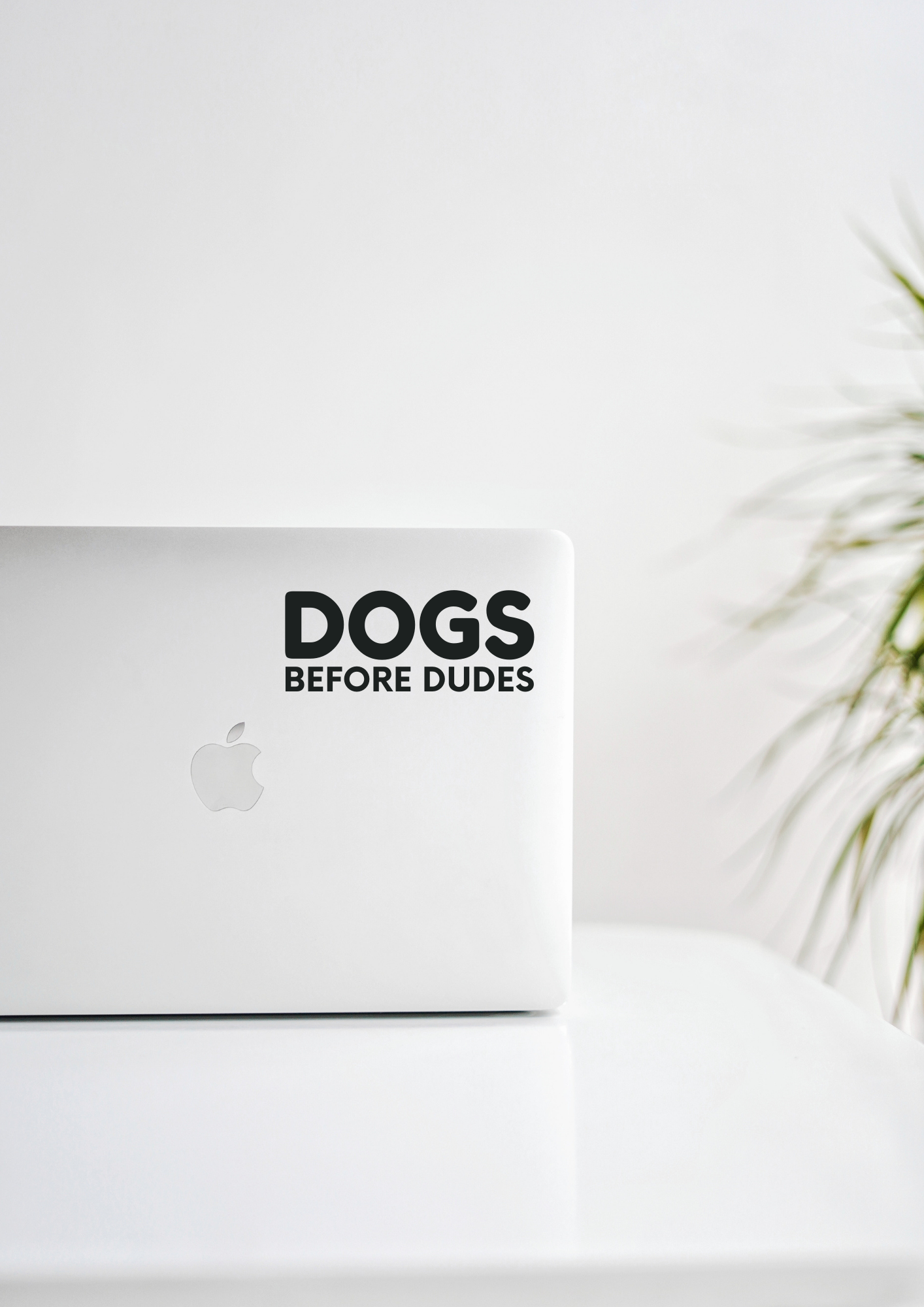 Dogs Before Dudes Decal