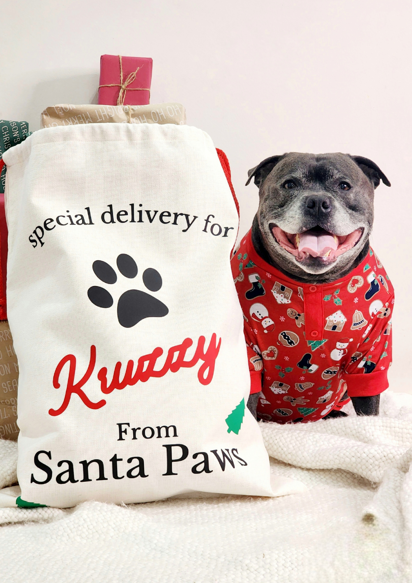 dog lovers christmas gift pet santa sack custom name dog christmas quote